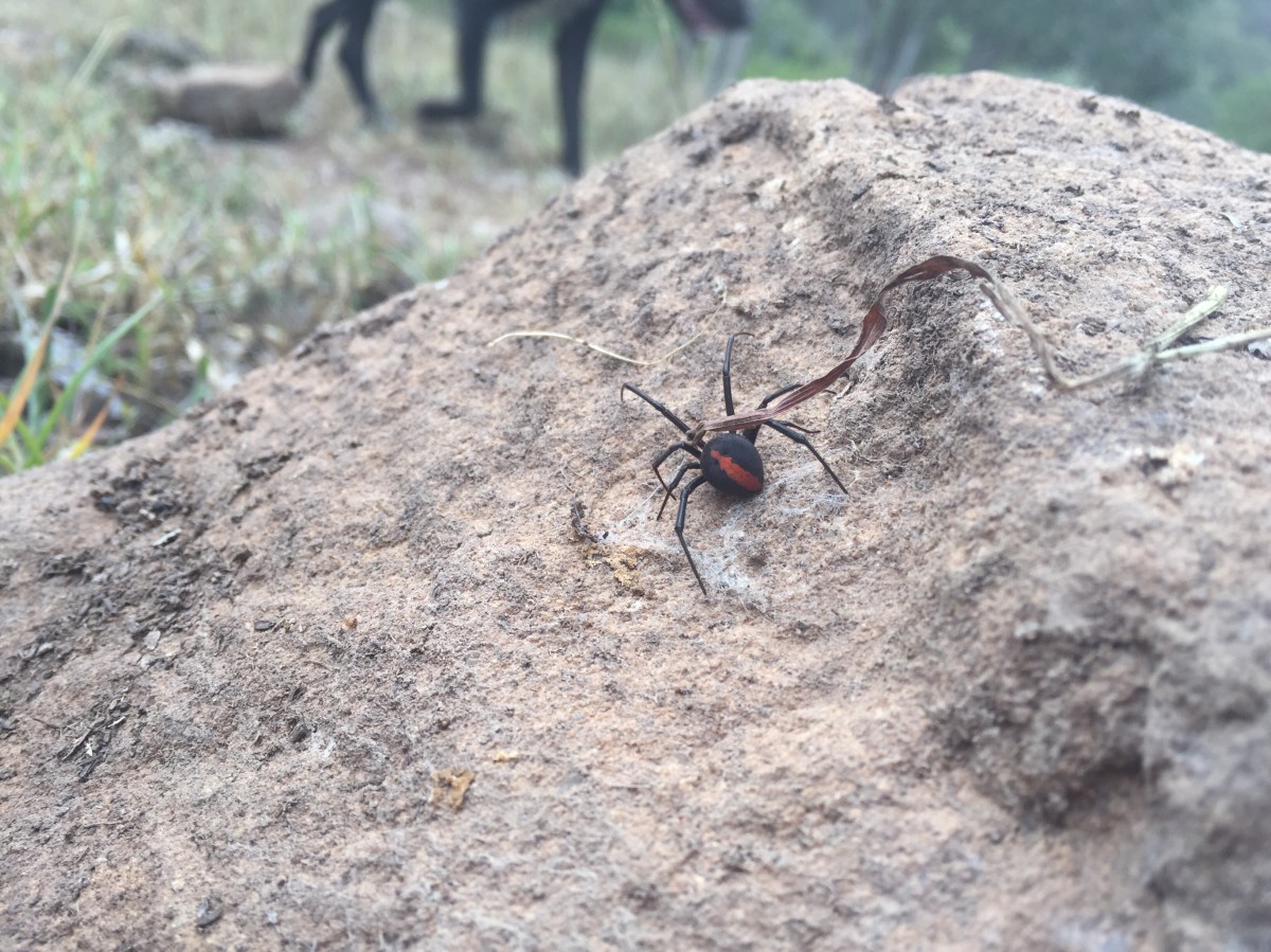 Awe – one of the top&nbsp;ten.