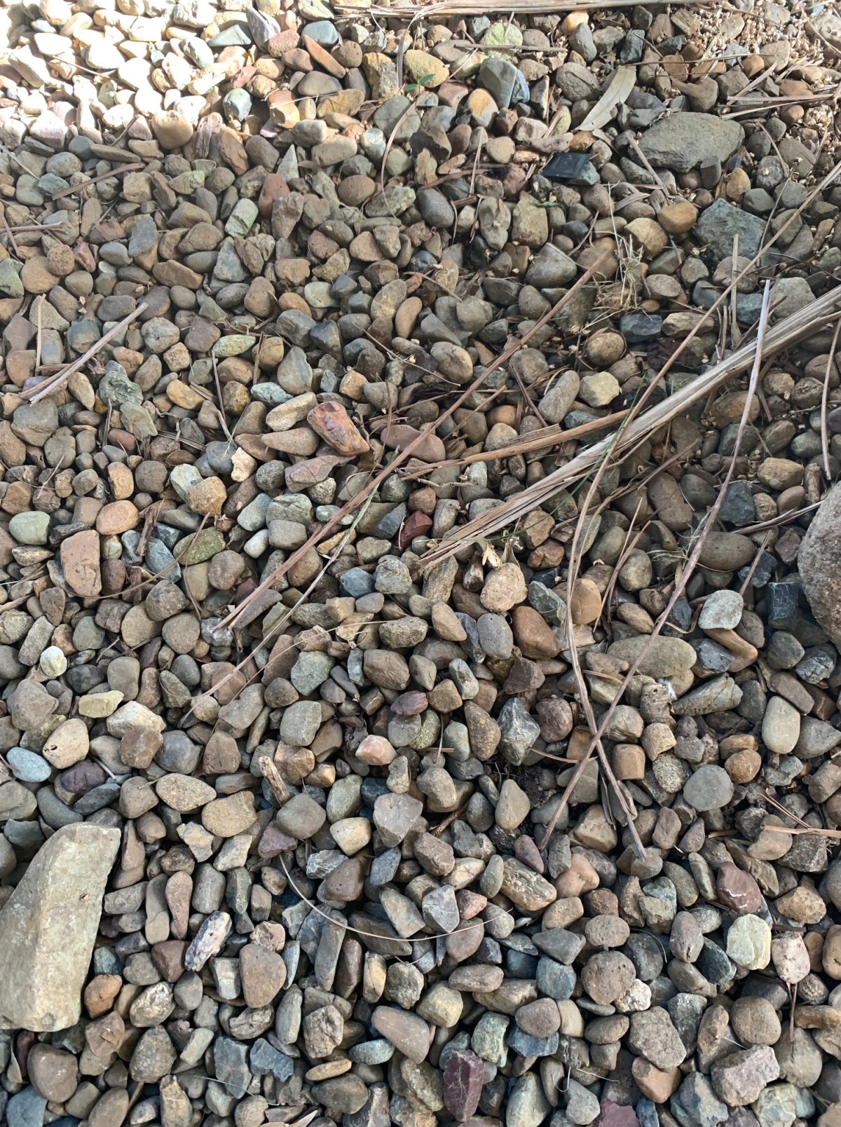 Stick’s and stones may break my bones&nbsp;but…..