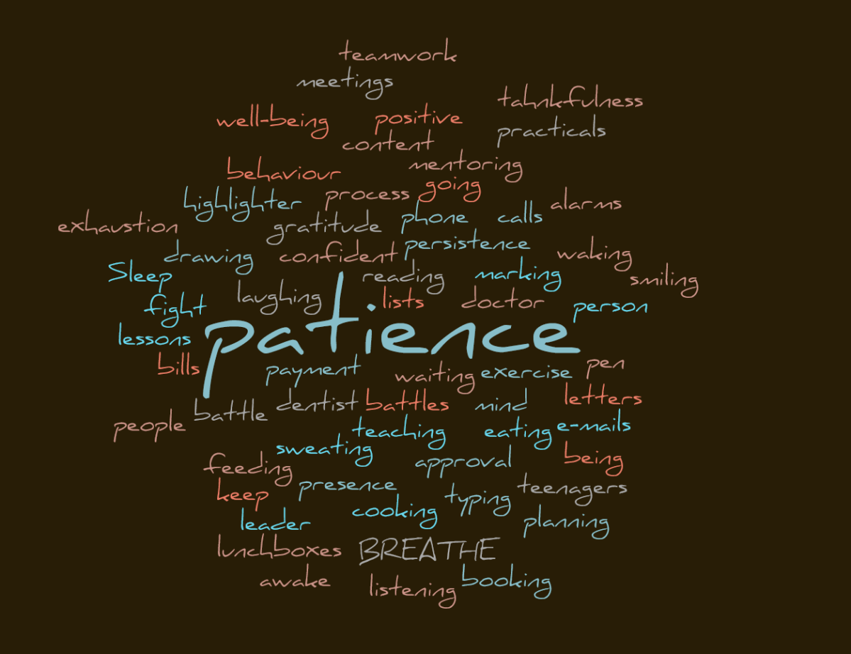 If only someone could be me, just for a&nbsp;day…